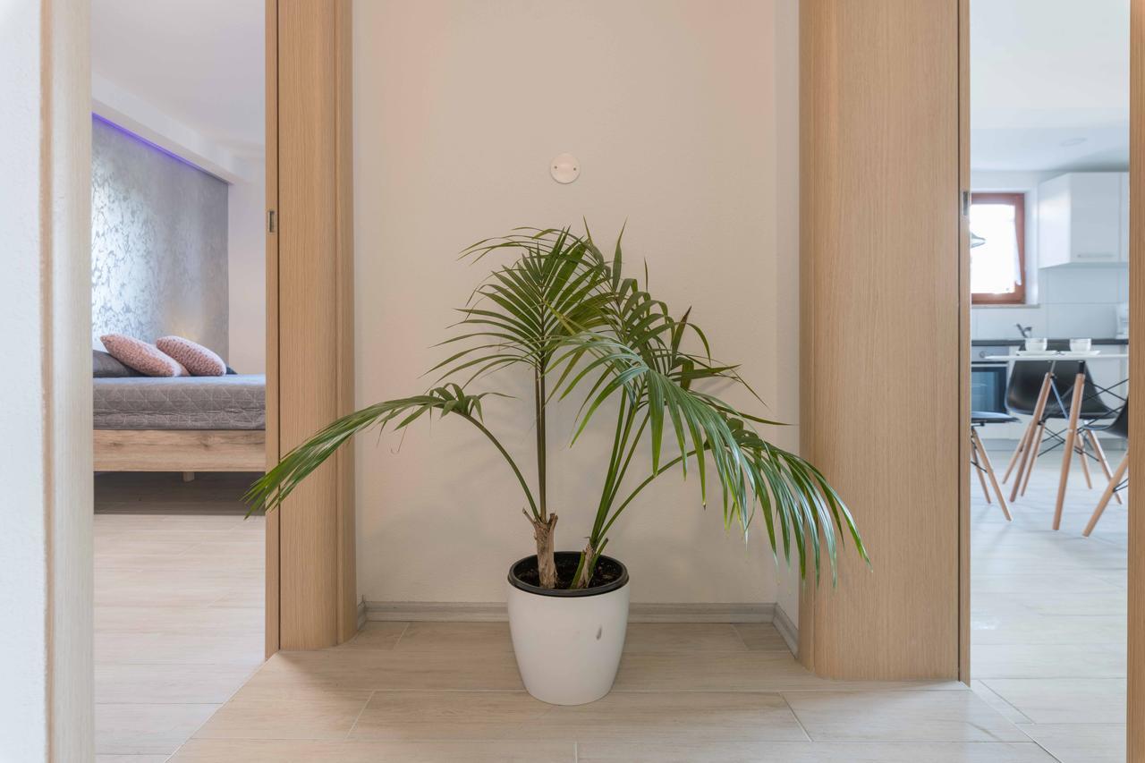 Apartments Villa Tre Marie Rovinj Dış mekan fotoğraf